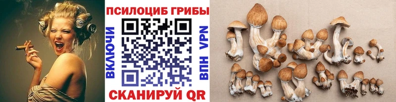 Галлюциногенные грибы Cubensis  дарк нет состав  Ильский  цена   МЕГА сайт 